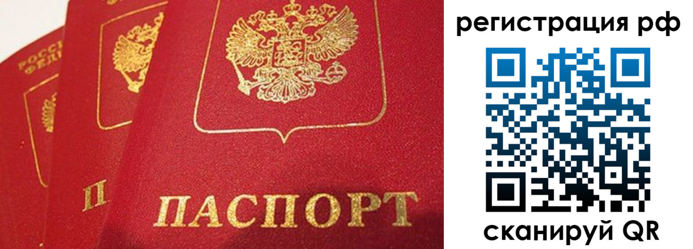 прописка поиск в Свердловской области